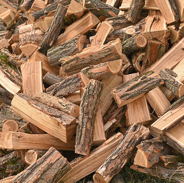 Seasoned Firewood, Holderness NH